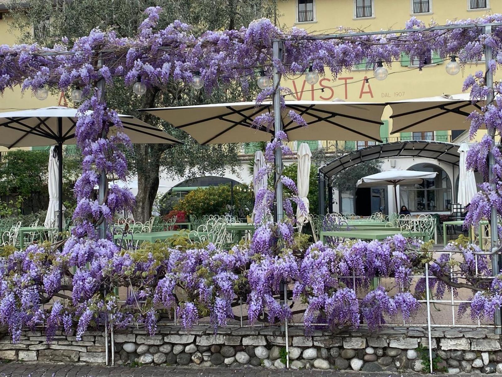 Albergo Bellavista Limone sul Garda Extérieur photo